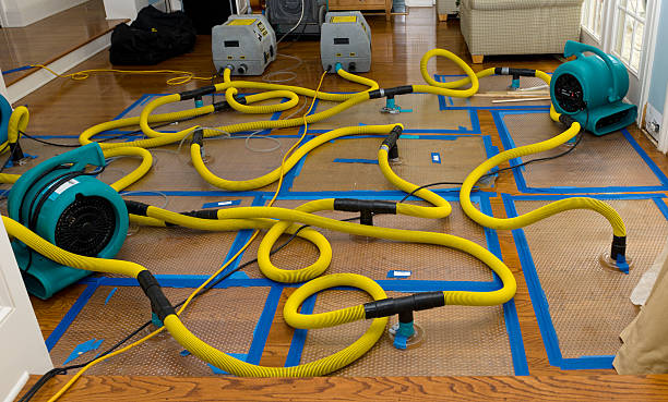 Professional Water Extraction technician working in Peoa, UT